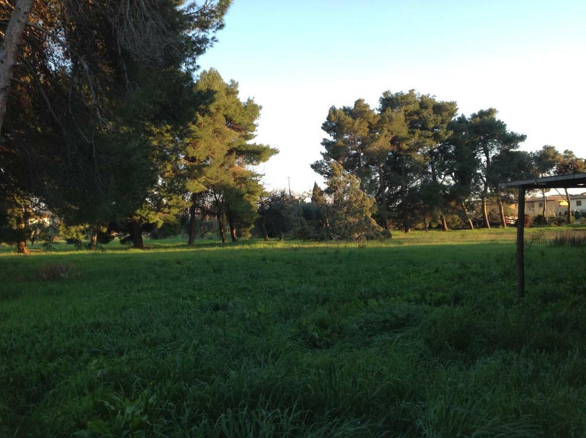 Villa Di Campagna Santa Giulia Carbonifera Extérieur photo