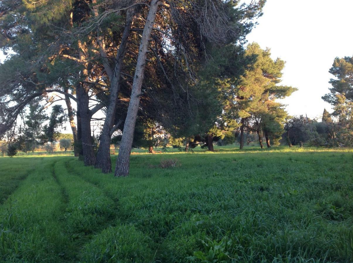 Villa Di Campagna Santa Giulia Carbonifera Extérieur photo